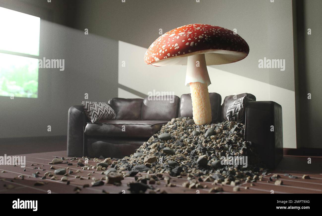 mushroom growing through sofa. High resolution photo Stock Photo