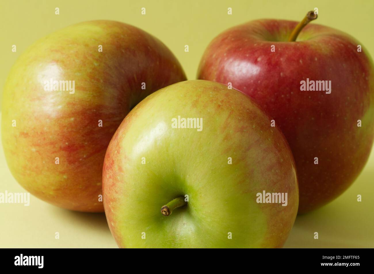 Close up of three Braeburn apples on a plain background Stock Photo