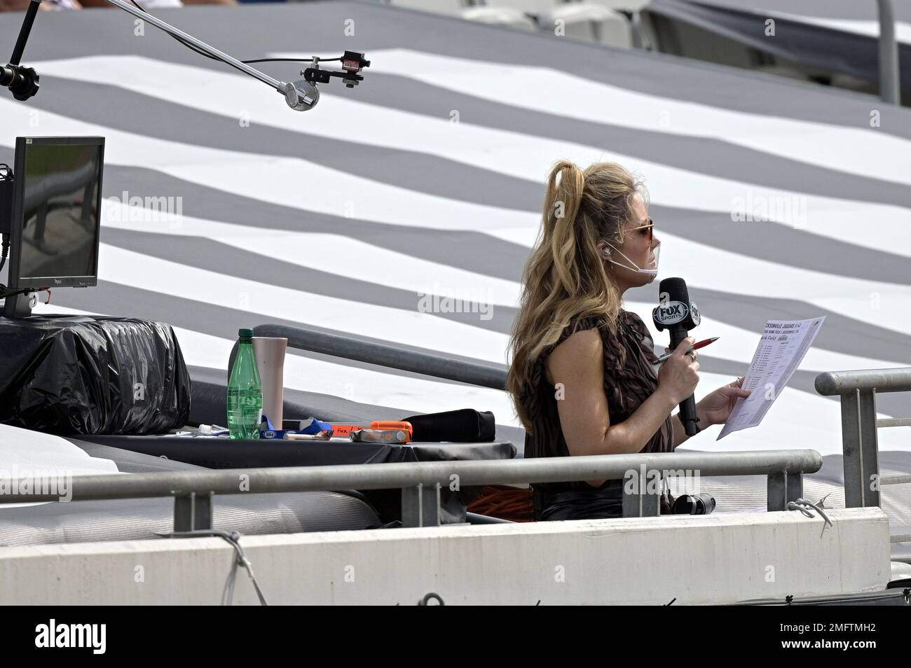 Fox Sports' Jennifer Hale reports from the sideline before an NFL football  game between the Houston Texans and the Seattle Seahawks, Sunday, Dec. 12,  2021, in Houston. (AP Photo/Justin Rex Stock Photo 