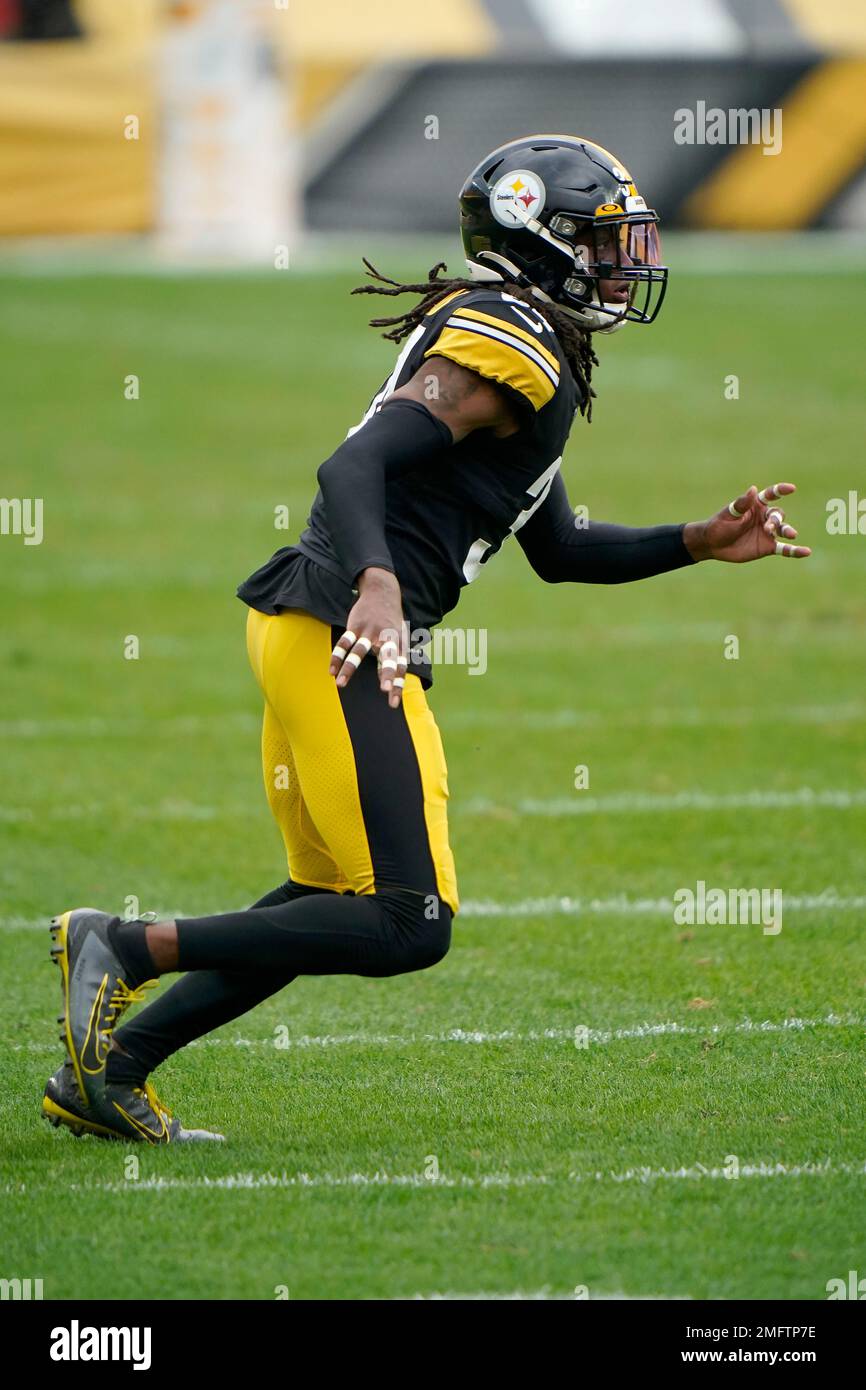 Pittsburgh Steelers strong safety Terrell Edmunds (34) in action during