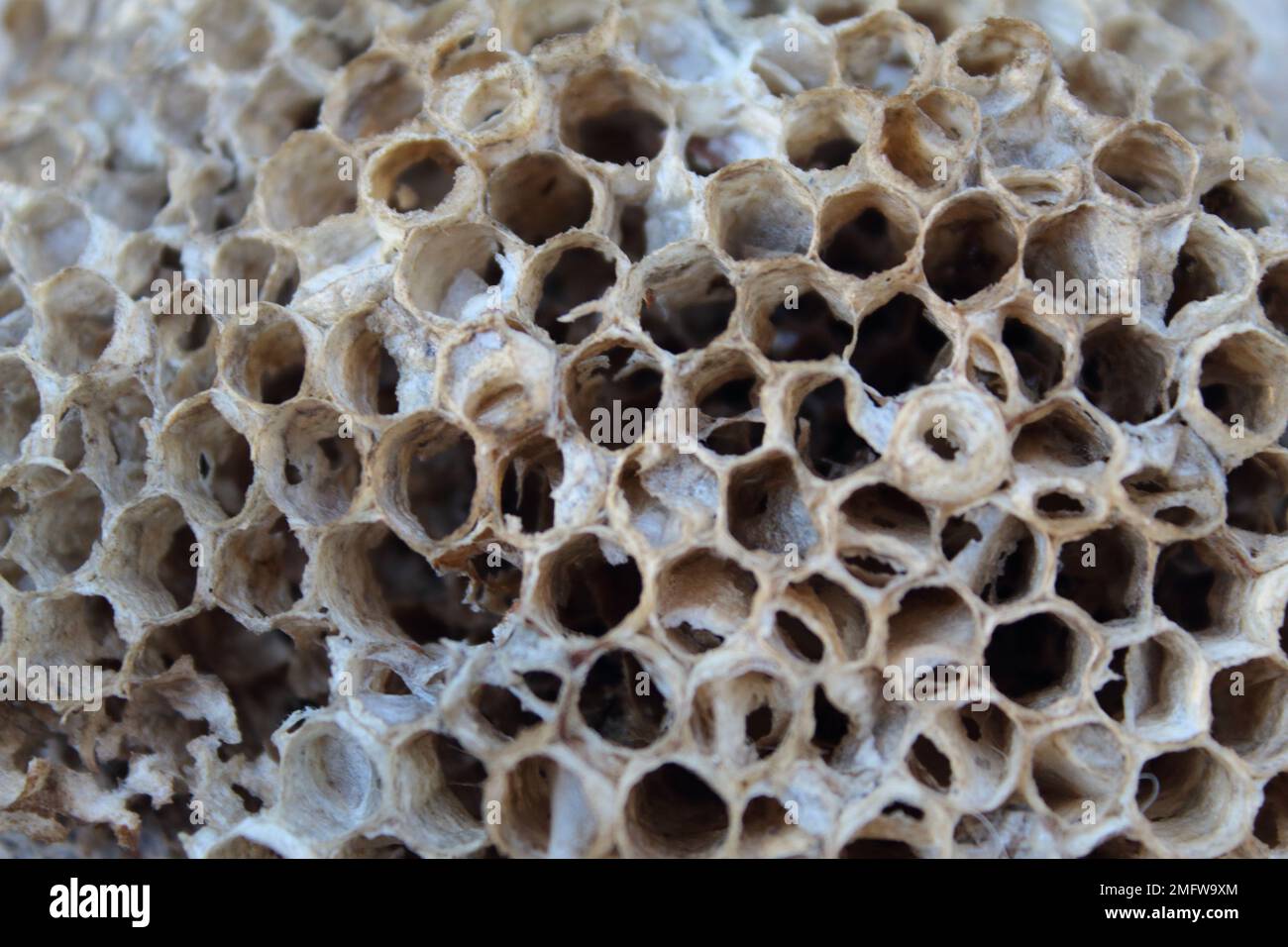 overlay hires stock photography and images Alamy