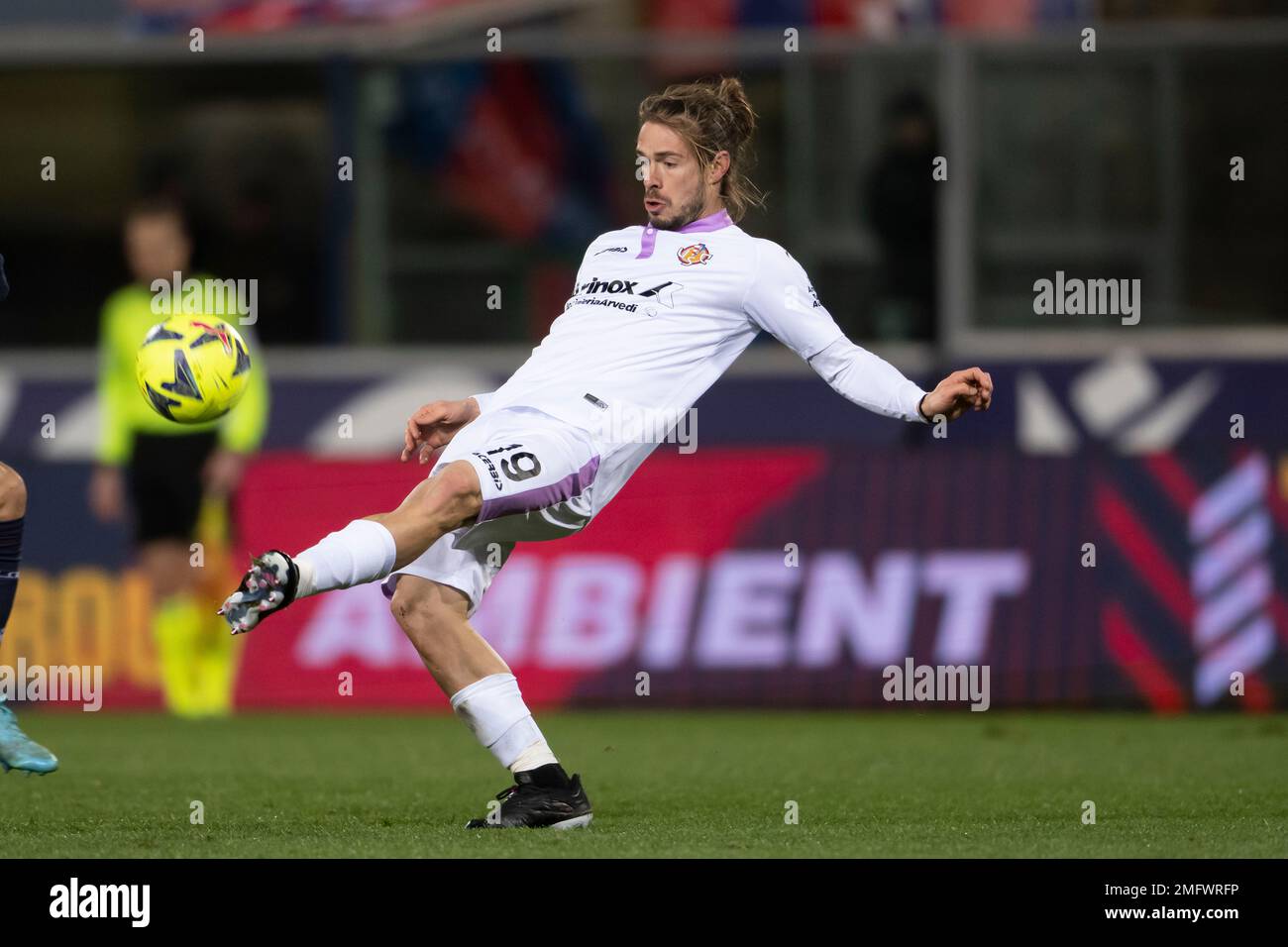 Michele hires stock photography and images Alamy