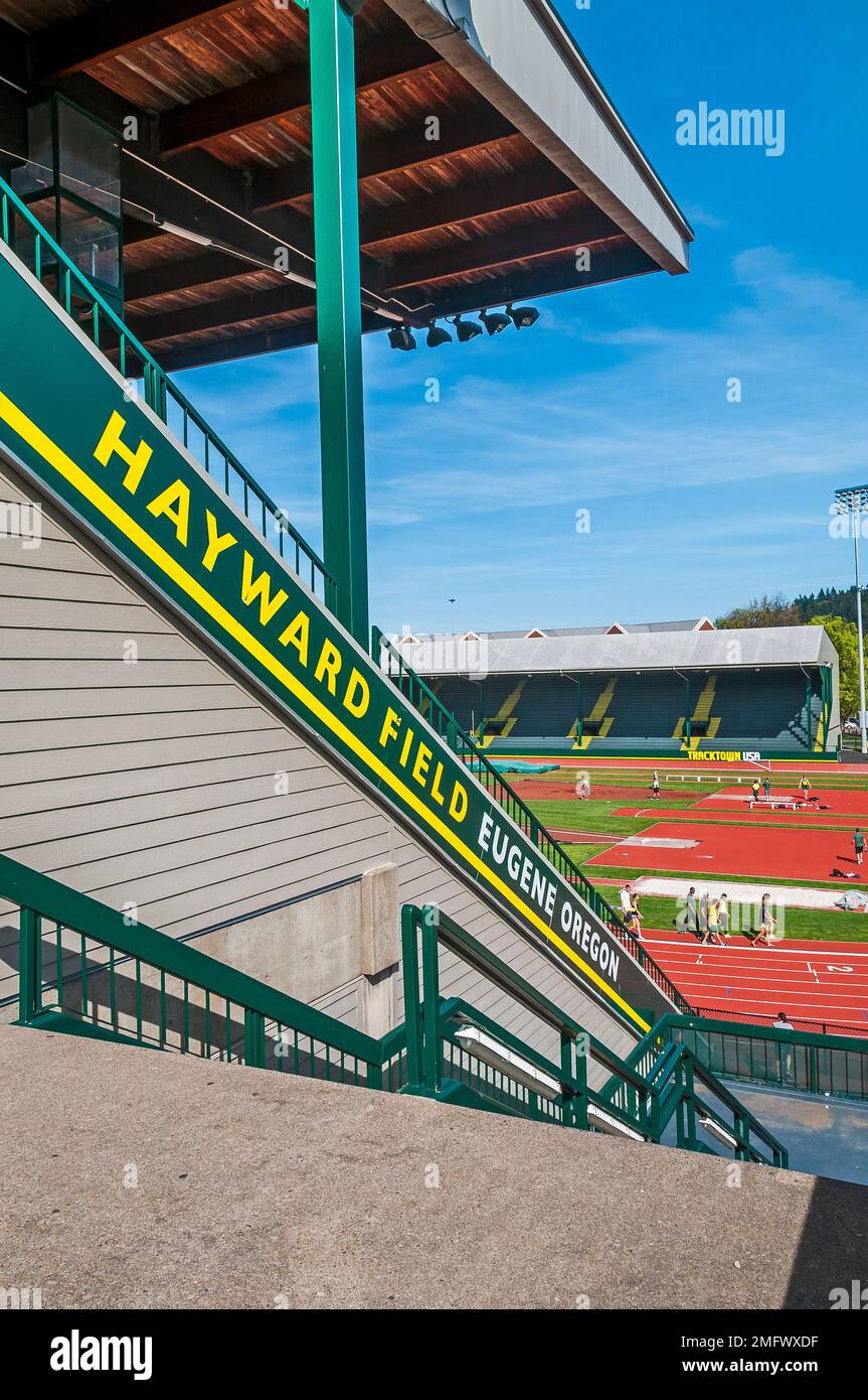 Flights of stairs at the bleachers at the University of Oregon track
