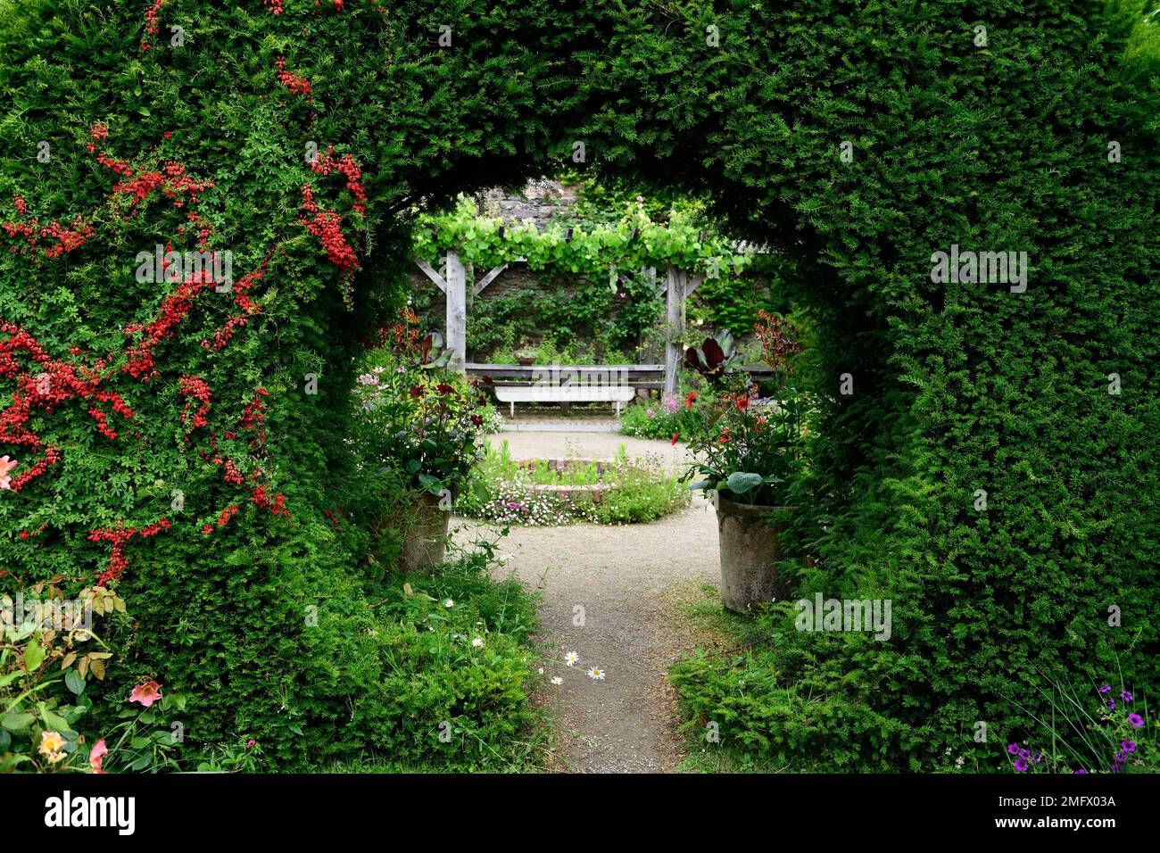 Moon gate in yew hedge hi-res stock photography and images - Alamy