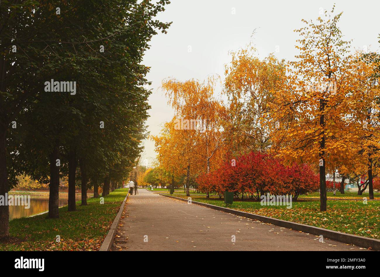Linden alley in early hi-res stock photography and images - Alamy