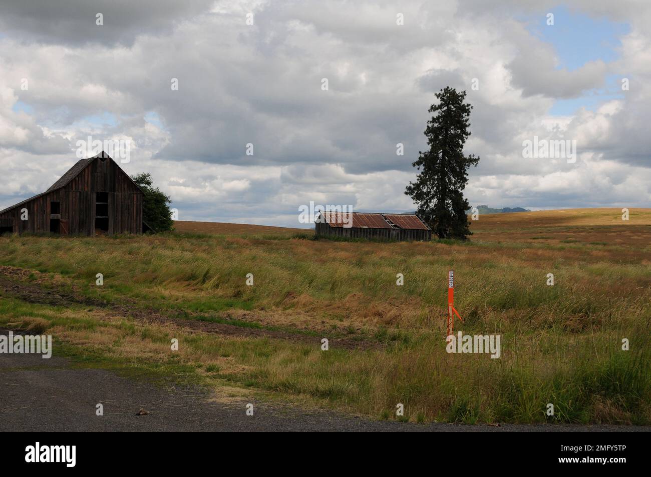 Southern Idaho /Nez Perce county/Idaho /USA 23 June 2018. .Life and