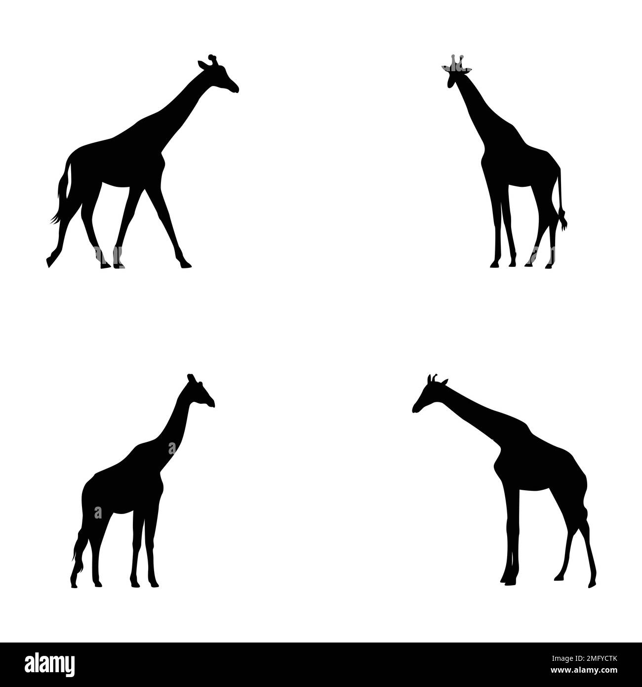 Set of silhouettes of giraffes vector Stock Vector