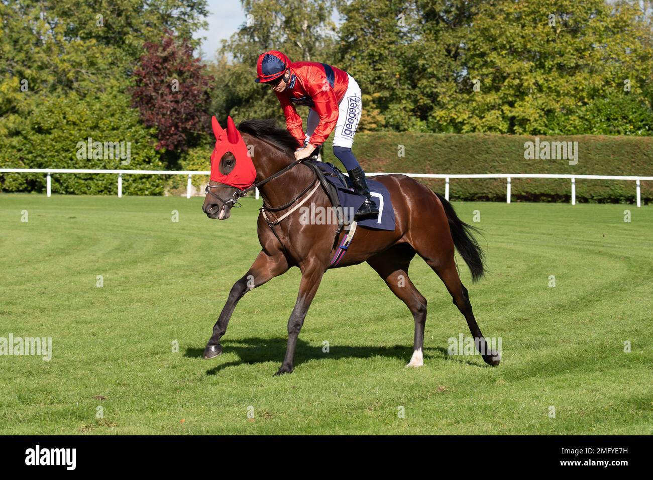 David probert 2022 hi-res stock photography and images - Alamy