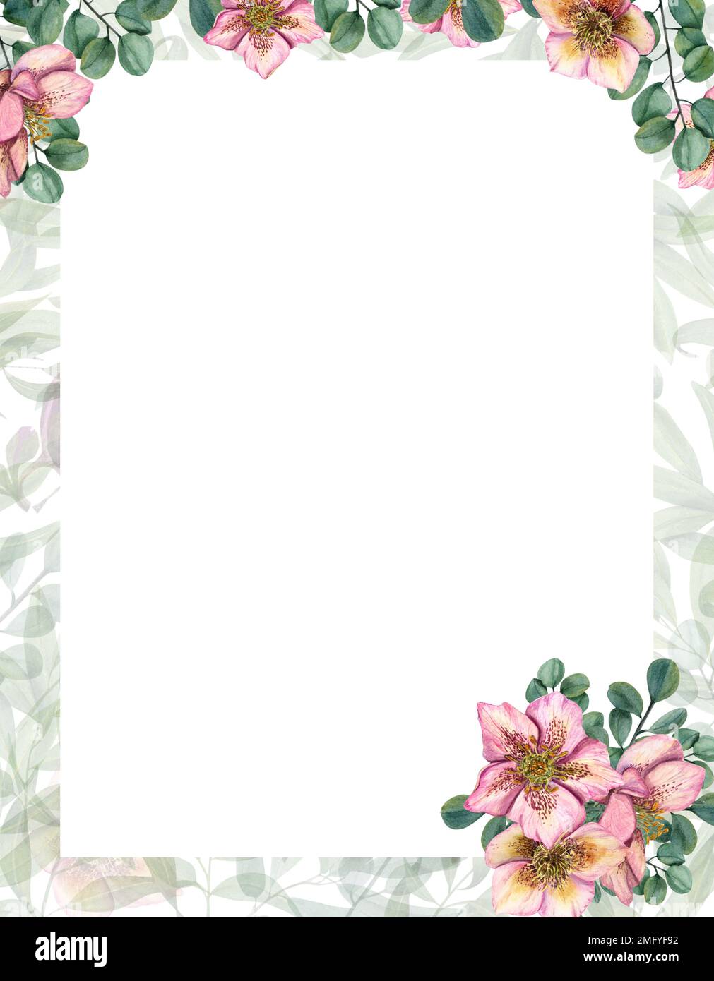 Watercolor card flower card with hellebores. Template for postcard