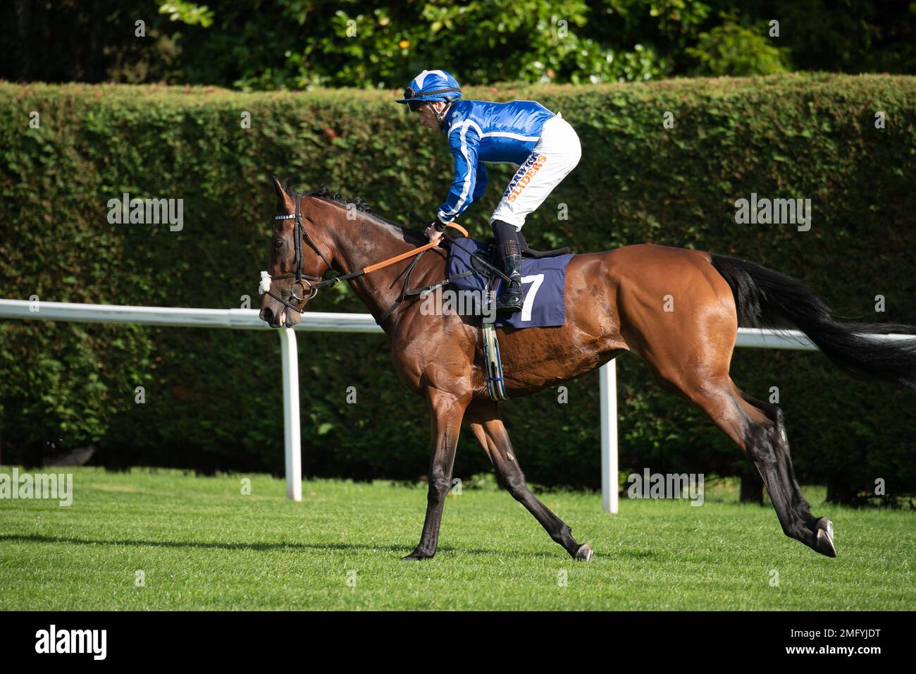 Windsor, Berkshire, UK. 10th October, 2022. Horse Albion Princess ridden by  jockey Trevor Whelan head to the start of the Follow At The Races On  Twitter Fillies' Handicap Stakes. Credit: Maureen McLean/Alamy