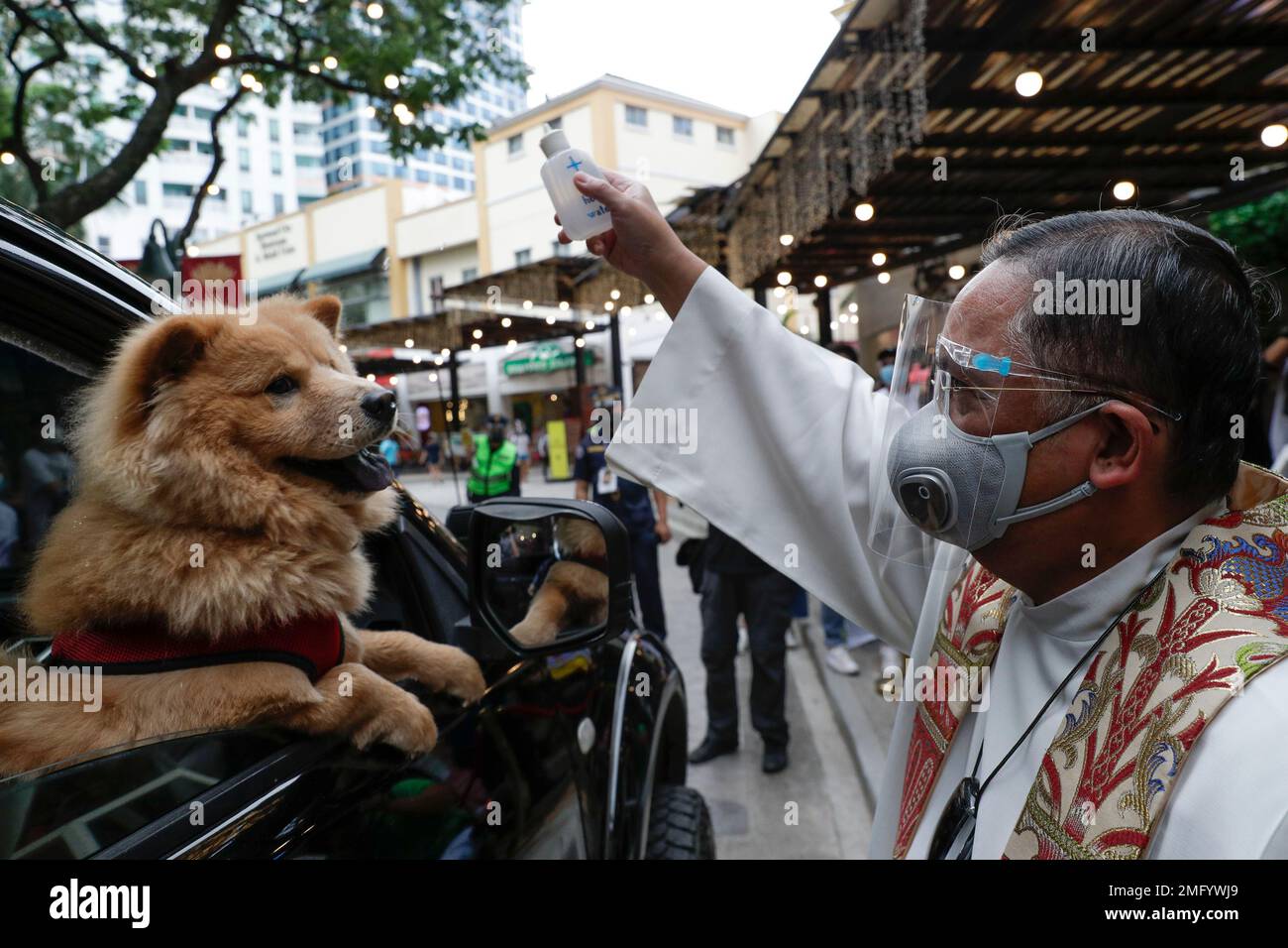 A Catholic priest sprinkles holy water on a dog during a drive-through ...