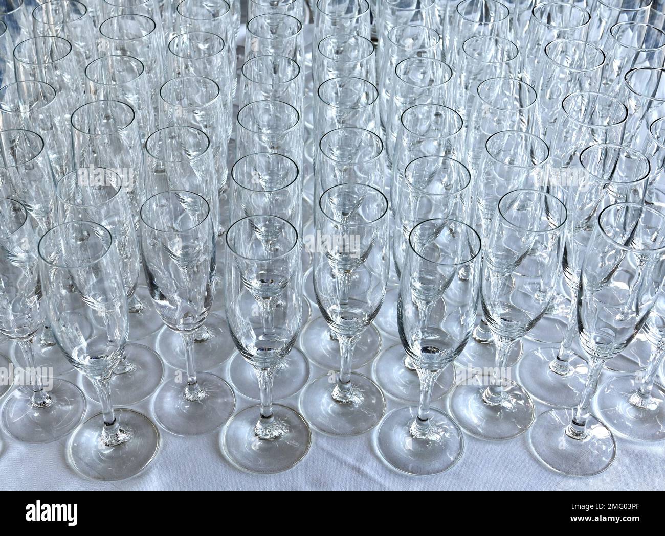 Rows of empty champagne flute glasses on a table at an event waiting to be filled. No people. Stock Photo