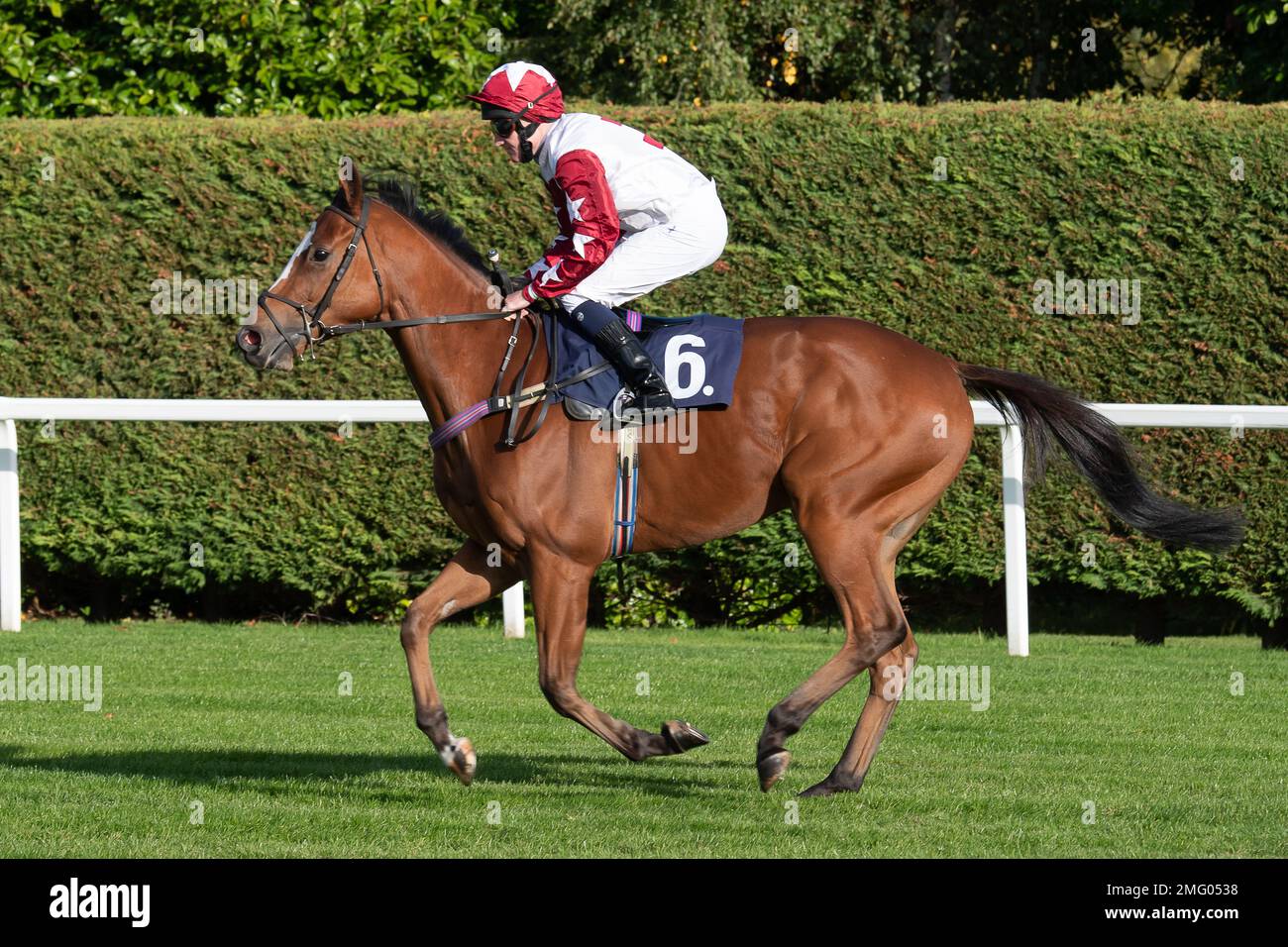 Windsor, Berkshire, UK. 10th October, 2022. Horse ridden by jockey Liam Keniry head to