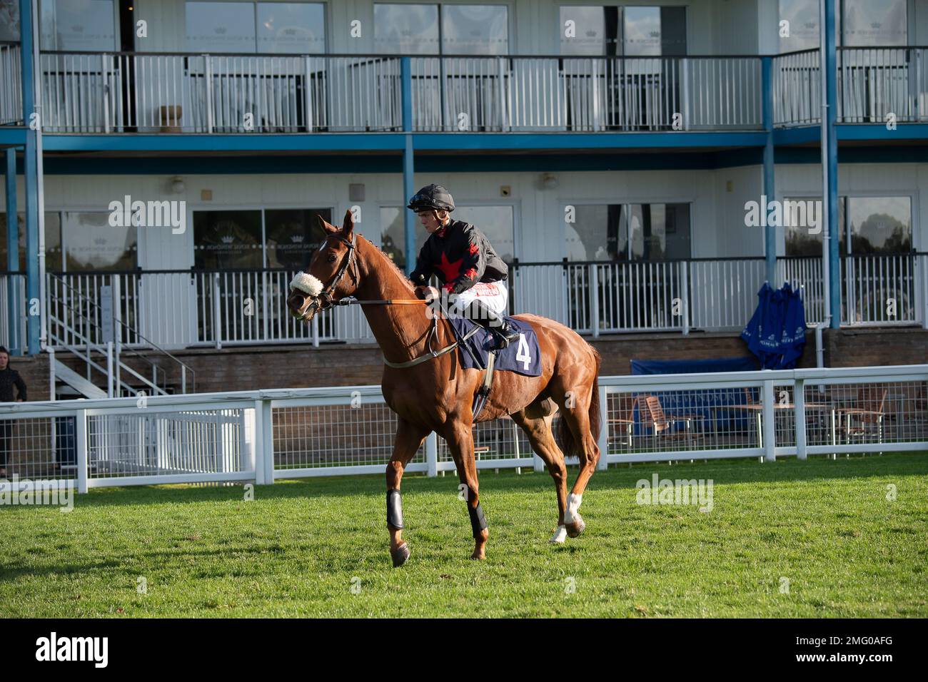 Windsor, Berkshire, UK. 10th October, 2022. Horse Imperial Cult ridden