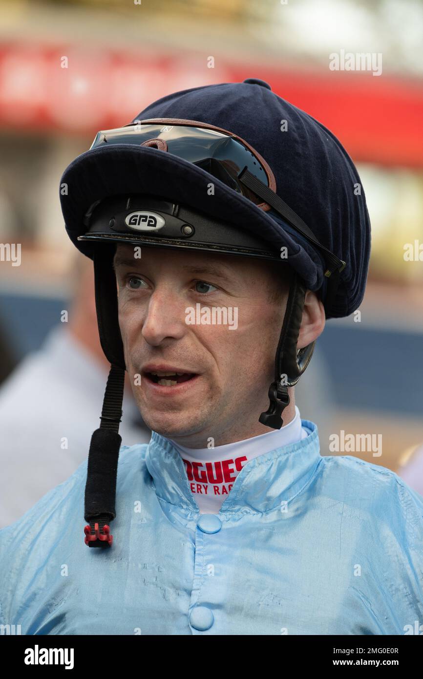 at-the-races-app-expert-tips-maiden-stakes-autumn-evening-racing