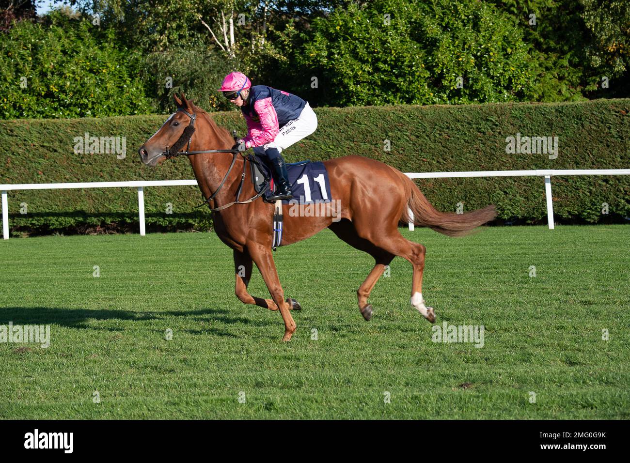 Windsor, Berkshire, UK. 10th October, 2022. Horse Long Time Comin