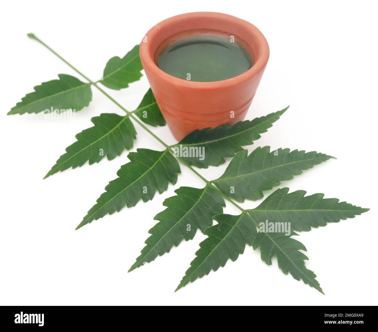 Medicinal neem leaves with extract over white background Stock Photo