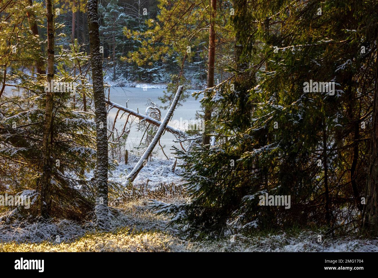 Hoar frost frozen lake hi-res stock photography and images - Alamy