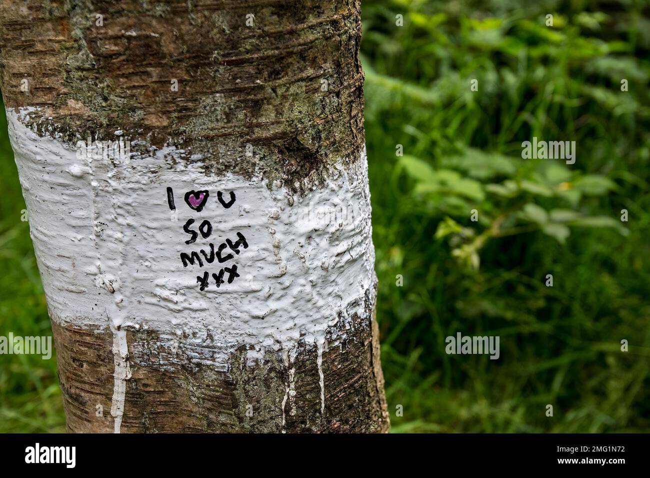 A message of love painted on a tree. Stock Photo