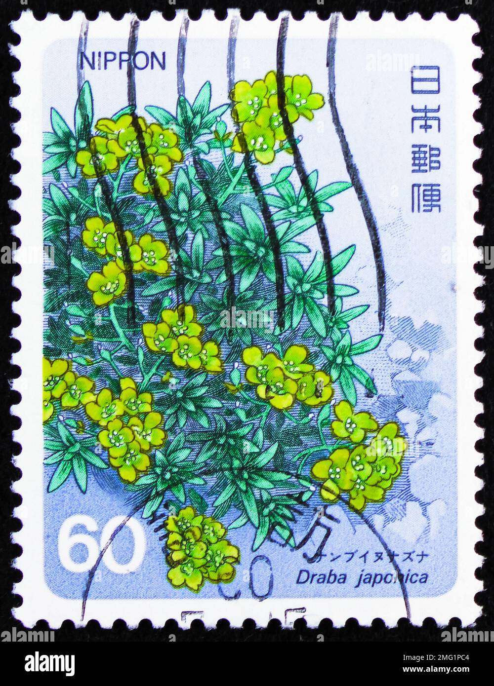 MOSCOW, RUSSIA - DECEMBER 25, 2022: Postage stamp printed in Japan shows Draba japonica, Alpine Plants (4th series) serie, circa 1985 Stock Photo
