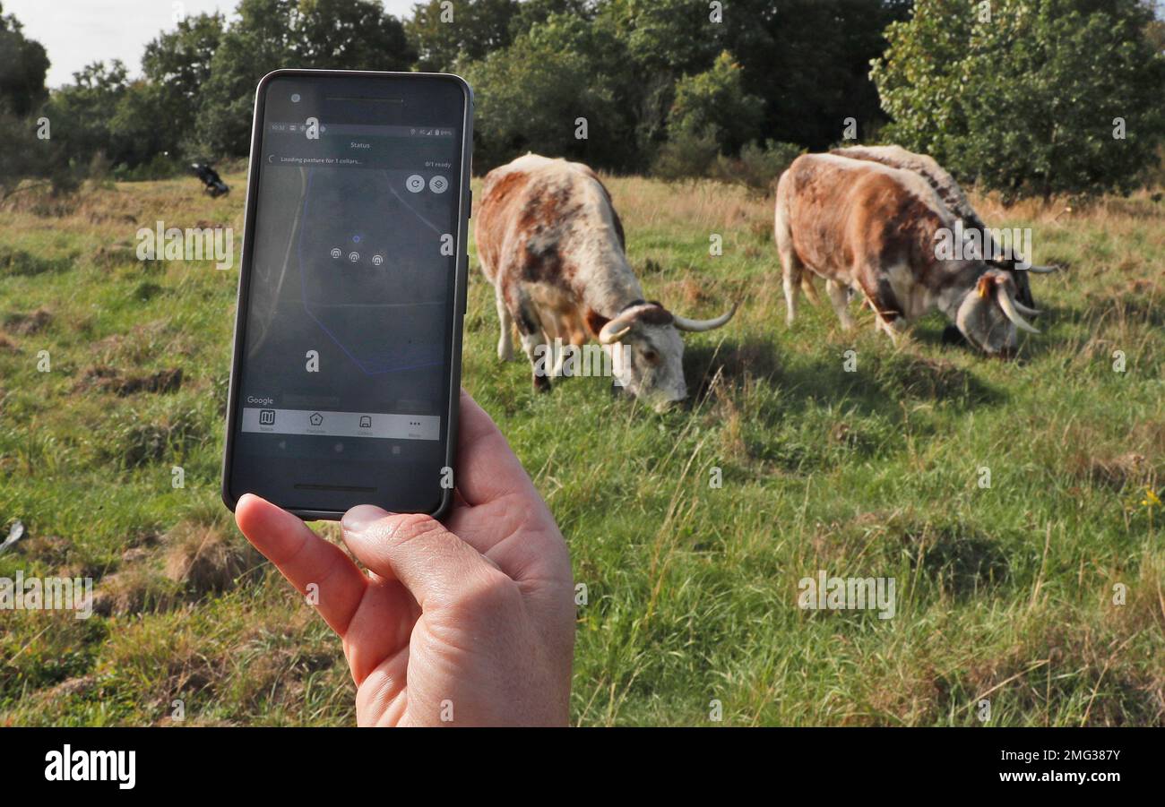 A staff member of Wanstead Park shows the control app on his phone to