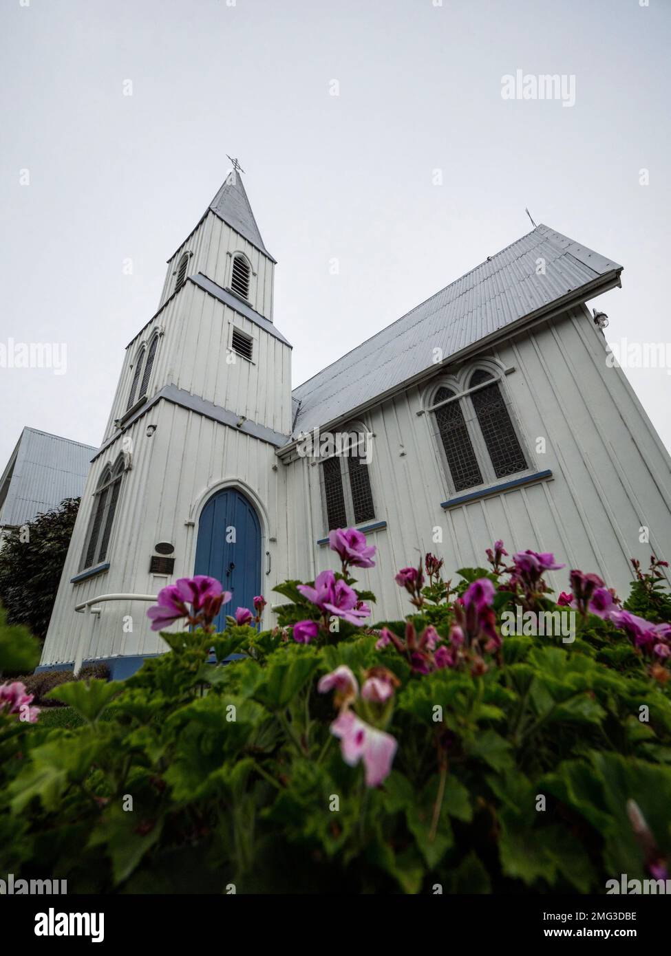 Purple flowers blooming in front of white historic wooden building St