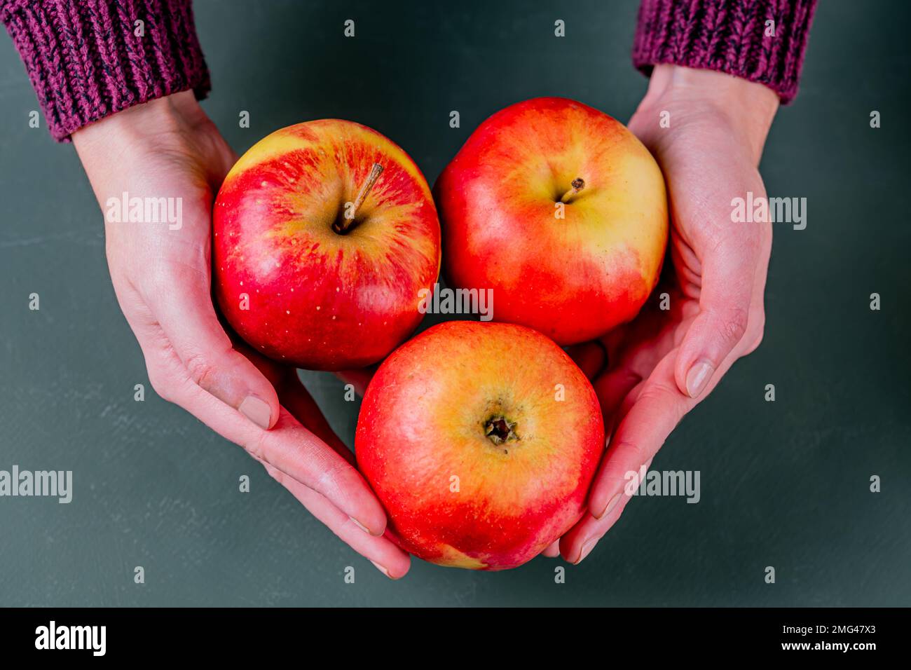 Three red fresh apples in woman hands. Green background. Stock Photo
