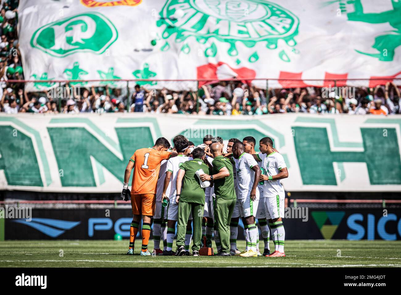 Os danos das apostas esportivas no cenário nacional