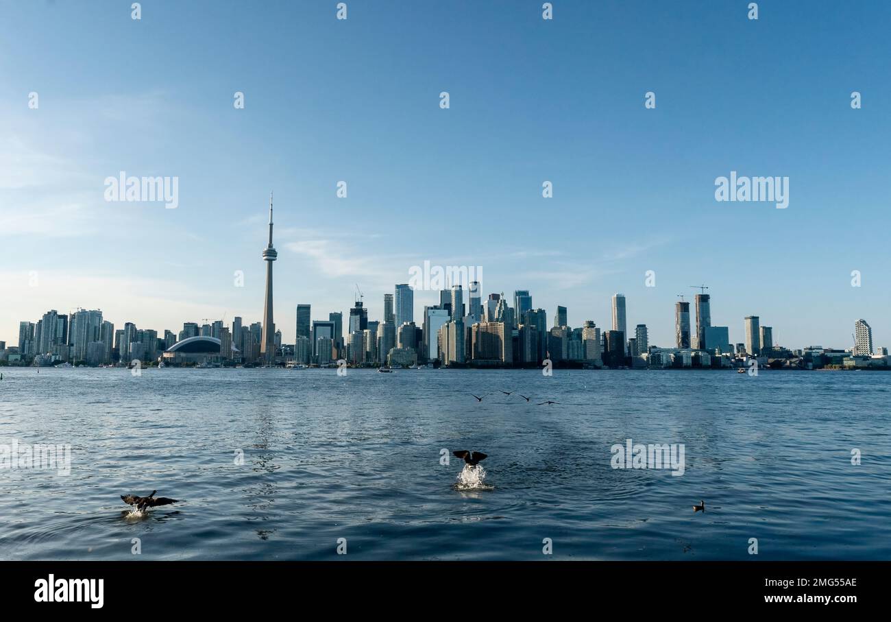 Toronto Downtown City skyline Ontario Canada Urban Stock Photo