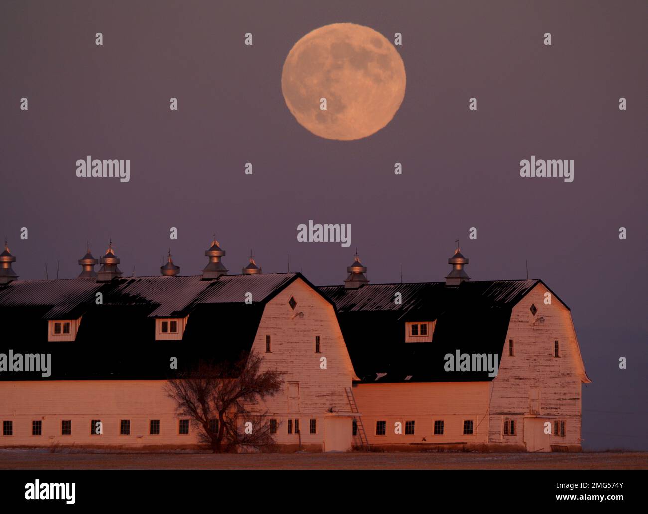 Full Moon Canada Rural Scene in Saskatchewan Canada Stock Photo Alamy