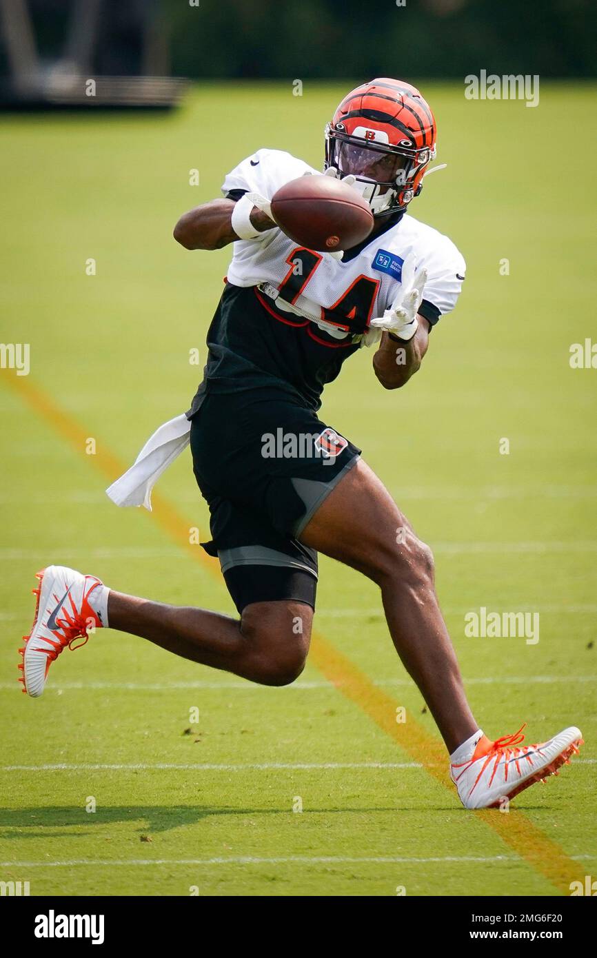 Cincinnati Bengals tight end Scotty Washington (82) during an NFL preseason  football game against the New