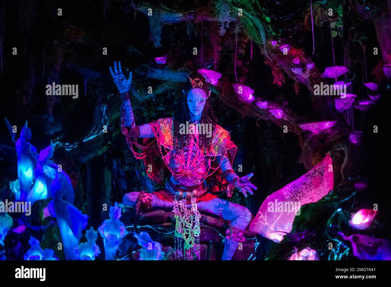 Na'vi Shaman of Songs is seen on the Na'vi River Journey attraction at ...
