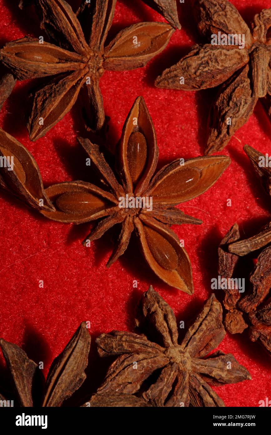 Star Anise In Hindi