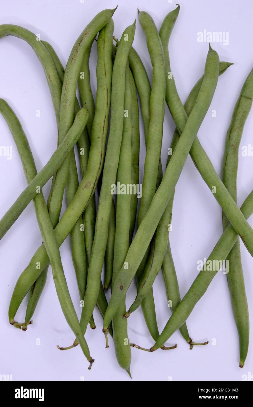Green Beans Are Known By Many Common Names, Including French Beans