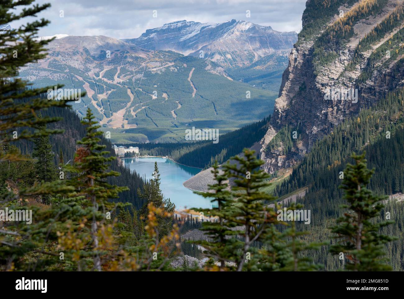 Larch trees framing the view of Lake Louise and Fairmont Chateau from Plain of Six Glaciers Trail in Banff National Park, Canada. Stock Photo