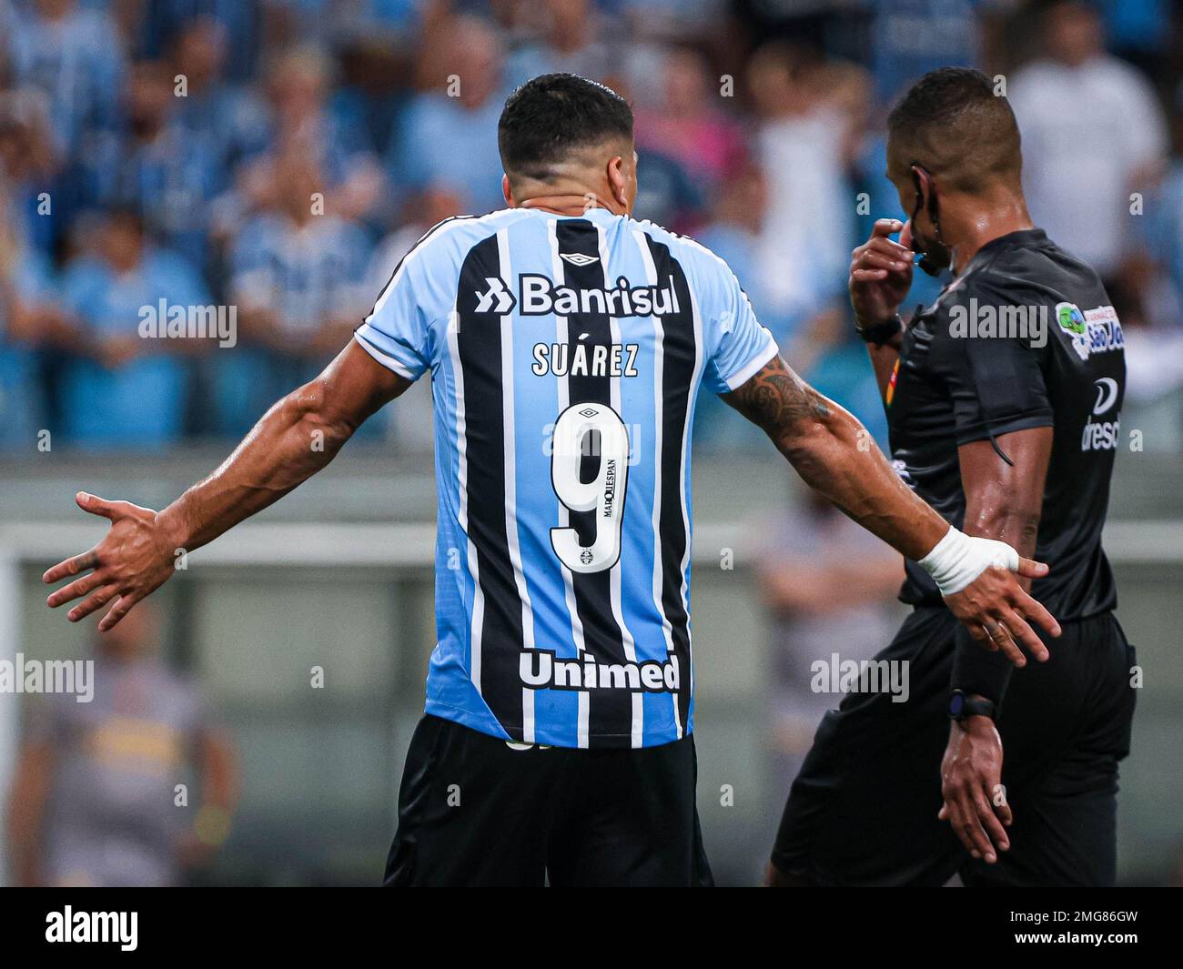 Grêmio x Brasil de Pelotas ao vivo e online: onde assistir, que