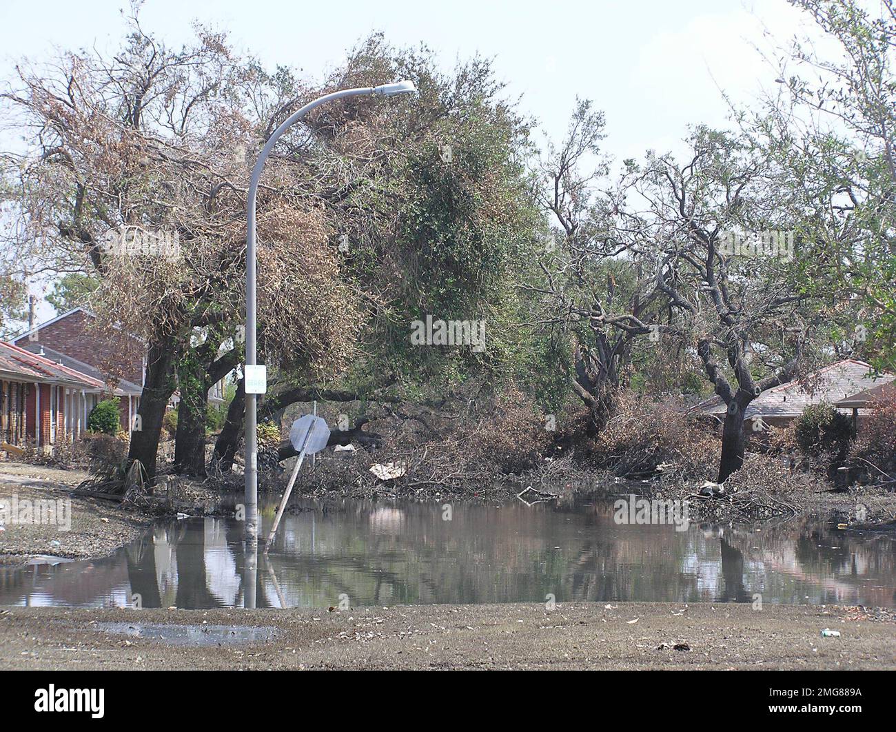 Marine Safety Unit Baton Rouge New Orleans Flood Operations 26HK
