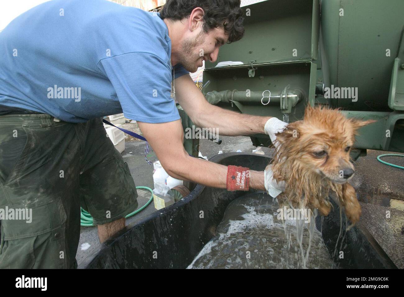 Animals - Rescue - 26-HK-60-5. LA Orleans Animal Rescue--civilian washing dog near military vehicle--by Andrea Booher-FEMA. Hurricane Katrina Stock Photo