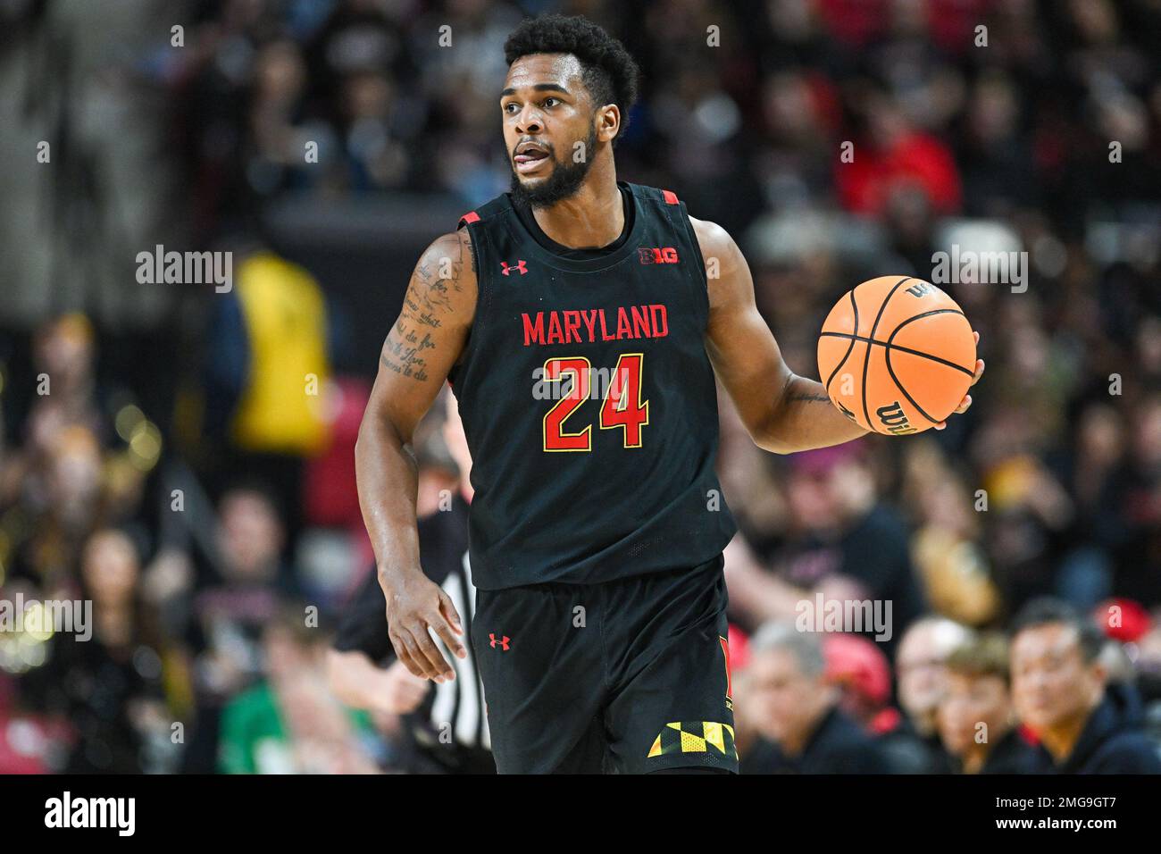 Donta scott hires stock photography and images Alamy