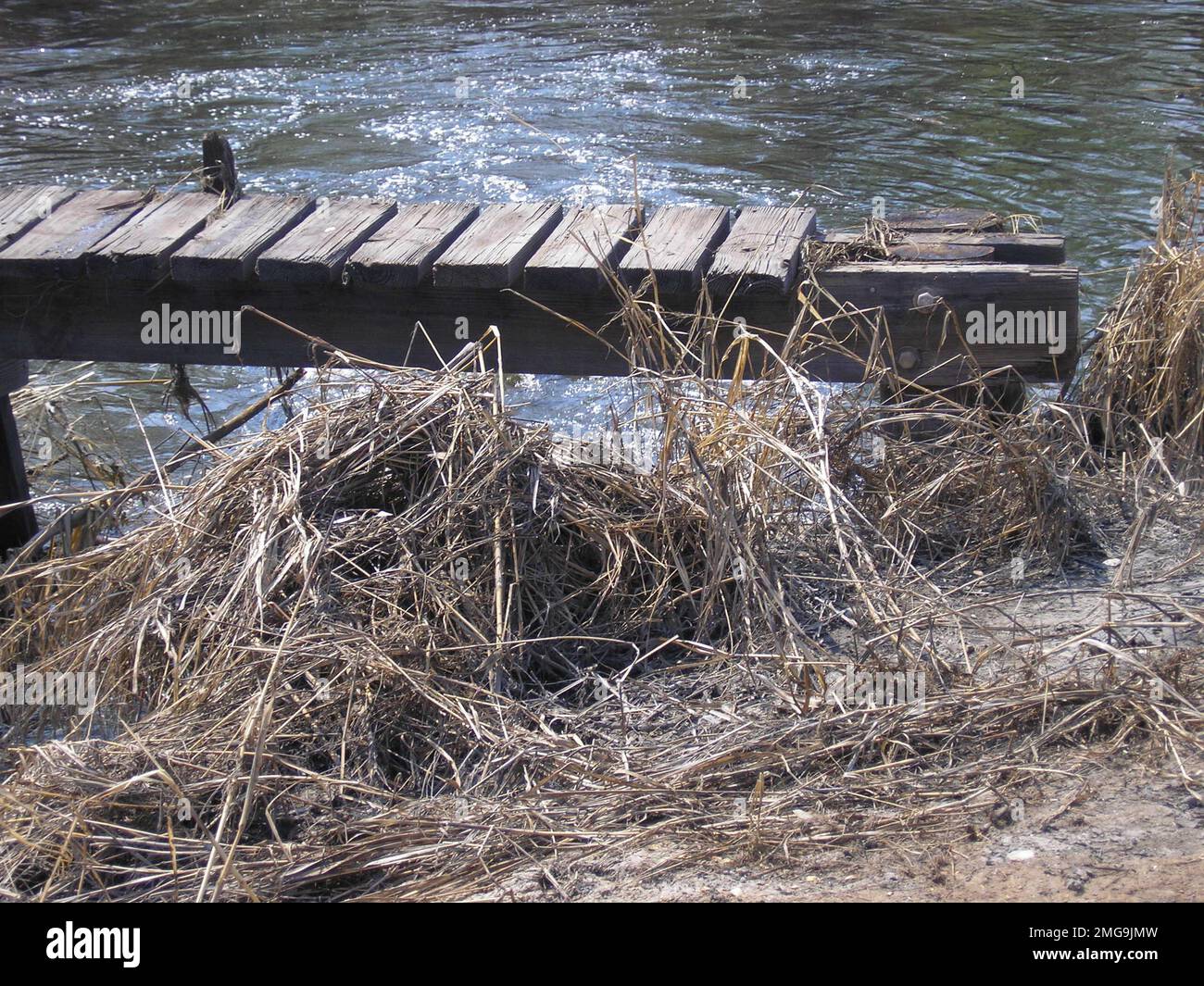 Pollution - ESU St. Louis Response - North Bass - 26-HK-229-140. THE ...