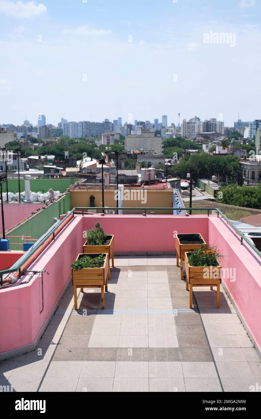 Urban community vegetable garden located on the rooftop of a building. Concepts of agriculture, ecology, and healthy living. Stock Photo