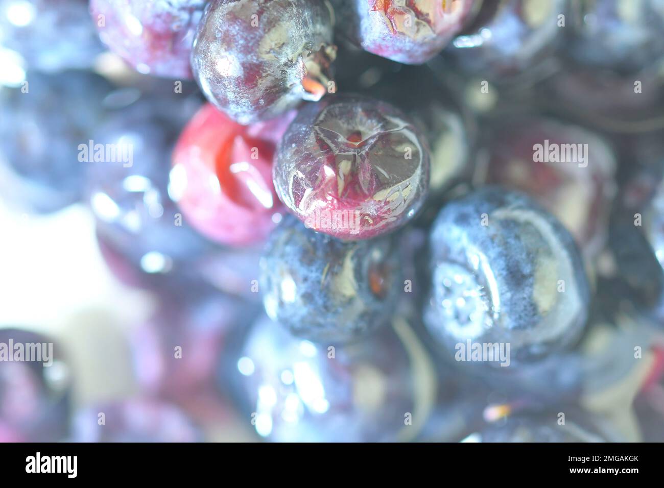 Bilberries wallpaper. Close-up of blueberries background. Shallow DOF. Defocused. Horizonatal macro image. Stock Photo