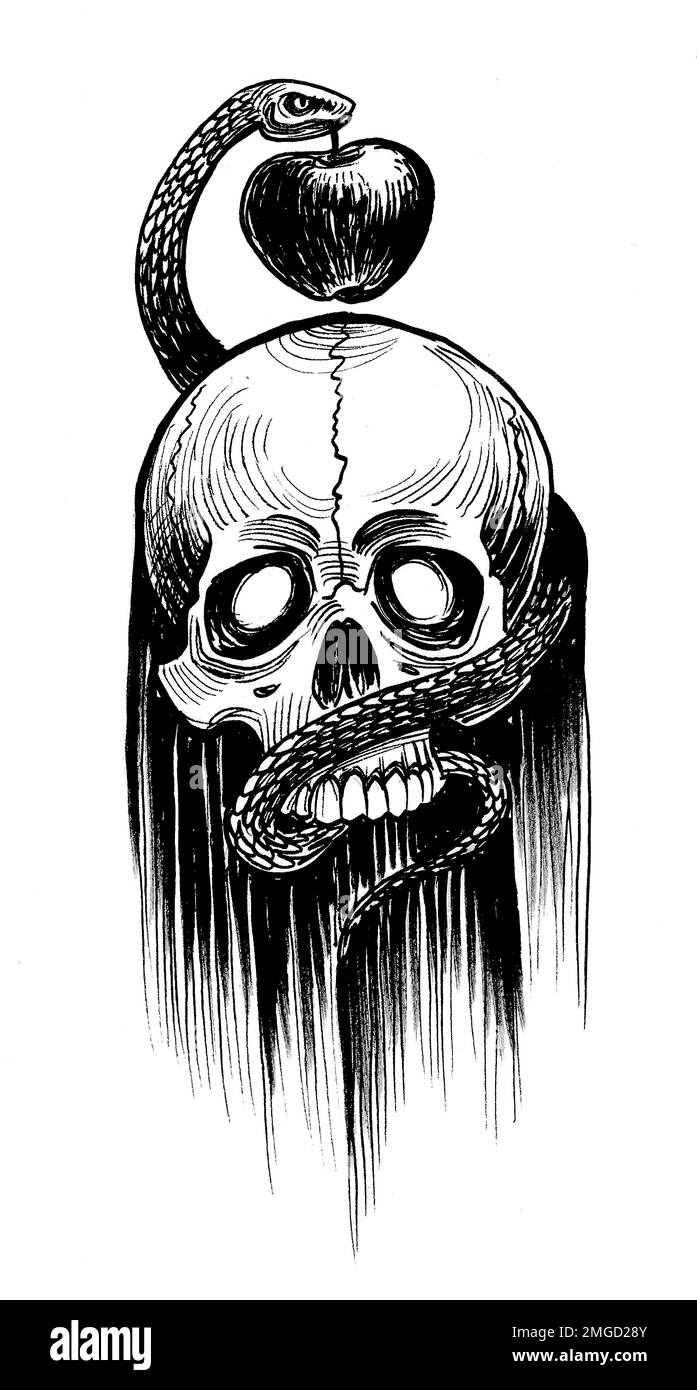 Skull and snake with apple. Ink black and white drawing Stock Photo