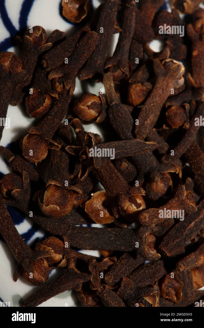 Aromatic flower fruits syzygium aromaticum family myrtaceae close up