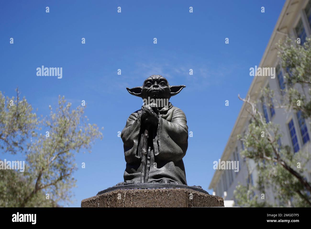 A statue of the Star Wars character Yoda is shown outside the Letterman