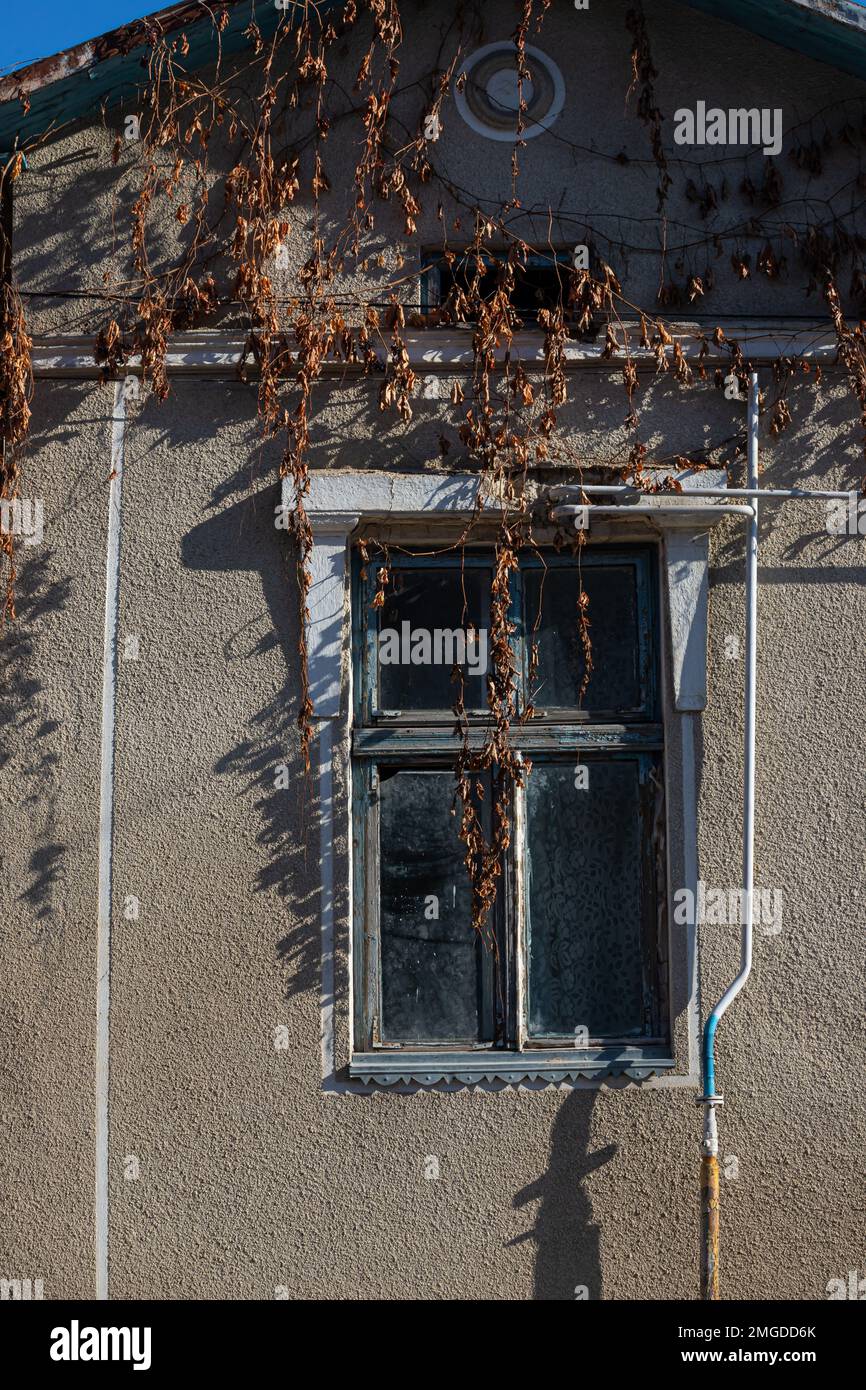 An old vintage wooden window with peeling paint oh frames needed to be