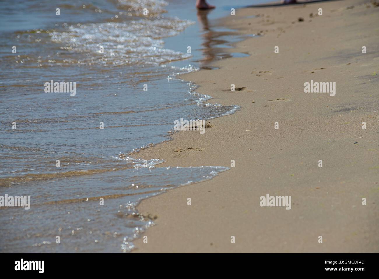 Footprints of a man on the yellow beach sand from walking barefoot by the sea with water that washes away the footprints. Contemplation of life Stock Photo