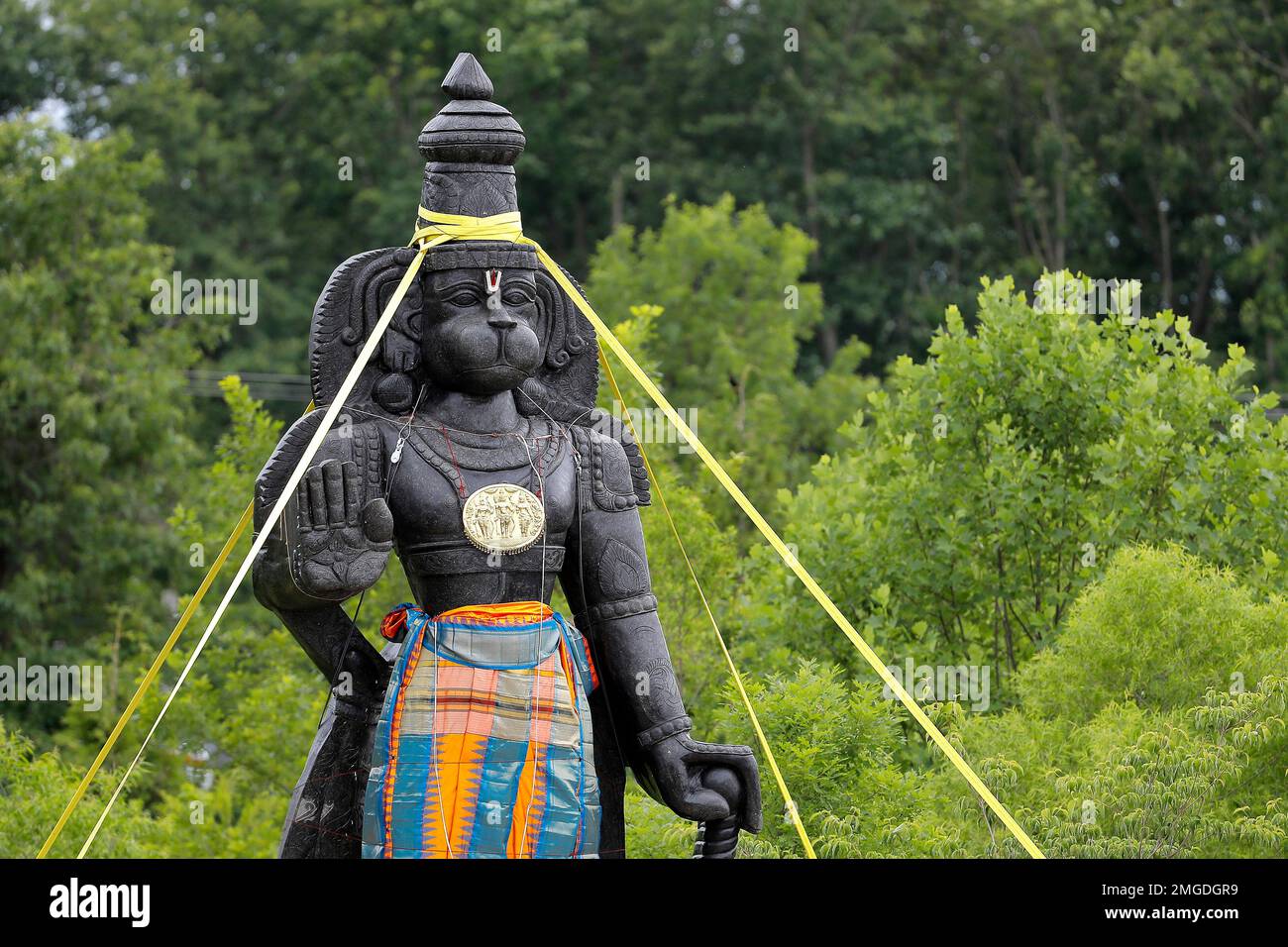 A statue of the Hindu god Hanuman is seen with support straps on the