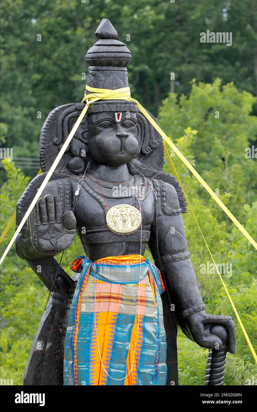 A statue of the Hindu god Hanuman is seen with support straps on the