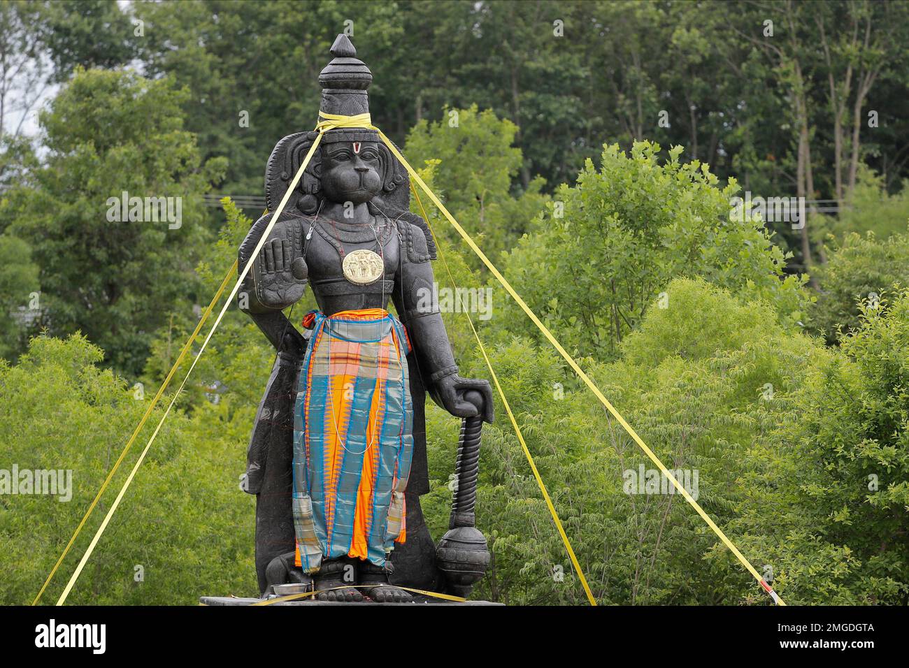 A statue of the Hindu god Hanuman is seen with support straps on the